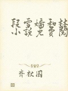 段雪娇和林杰的小说免费阅读