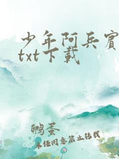 少年阿兵宾小说txt下载