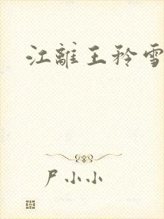 江离王矜雪小说