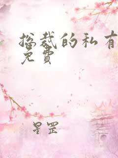 总裁的私有宝贝免费