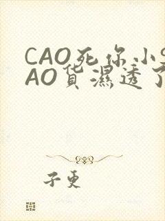 CAO死你小SAO货湿透了学长