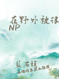 在野外被很多人NP