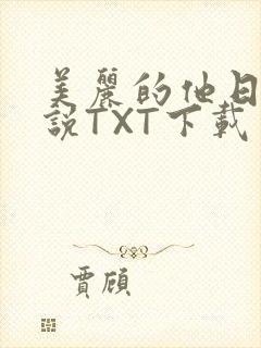 美丽的他日剧小说TXT下载