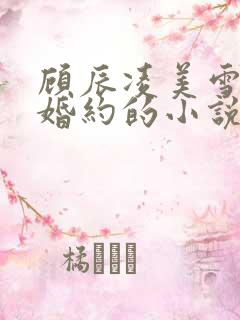 顾辰凌美雪五份婚约的小说名字叫什么