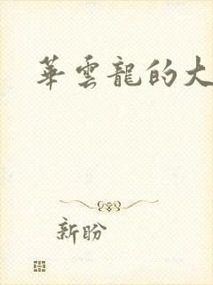 华云龙的大宝贝