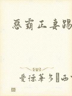 恶霸正妻踢娇妾