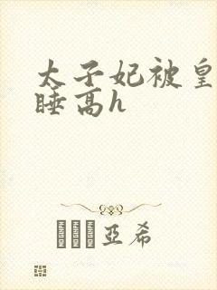 太子妃被皇上强睡高h