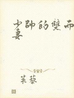 少帅的双面小娇妻