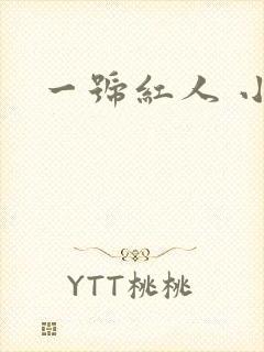 一号红人 小说