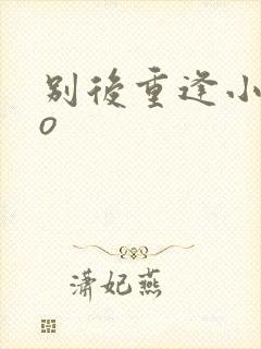 别后重逢小说po