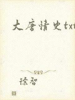 大唐情史txt