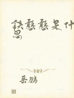 铁憨憨是什么意思