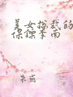 美女总裁的护花保镖李南