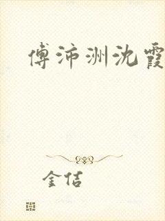 傅沛洲沈霞小说