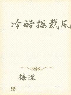 冷酷总裁风流妻