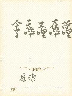 今天又在撩后妈了哔哩哔哩小说