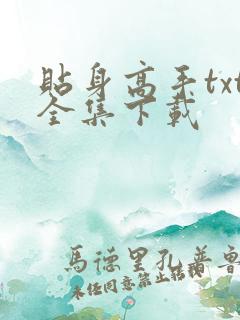 贴身高手txt全集下载