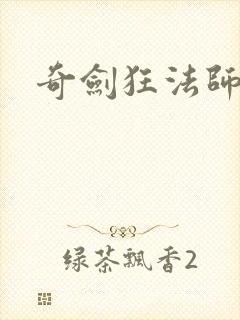 奇剑狂法师下载