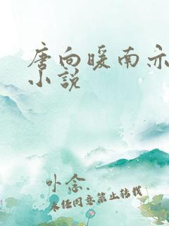 唐向暖南亦琛的小说