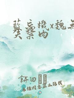 蓝忘机x魏无羡失禁肉