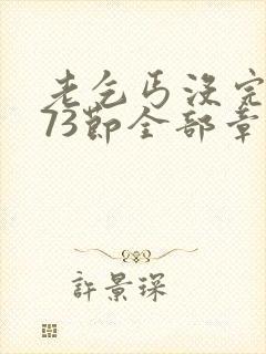 老乞丐没完没了73节全部章节内容