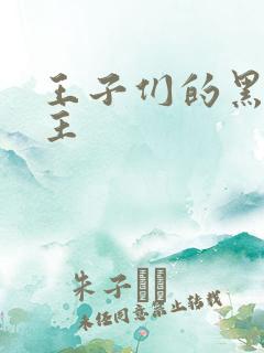 王子们的黑道公主