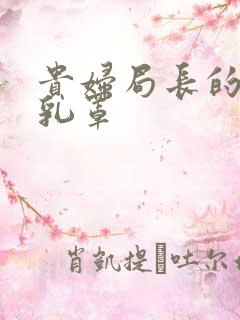 贵妇局长的蕾丝乳罩