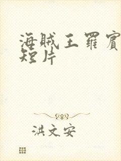 海贼王罗宾被h短片