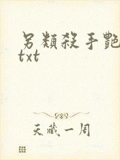 另类杀手艳福星txt