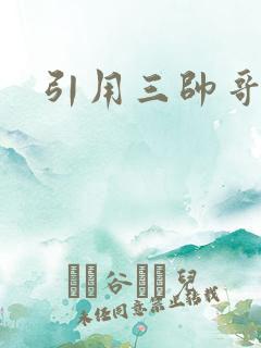 引用三帅哥