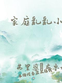 家庭乱乱小说