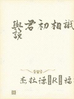 与君初相识 小说