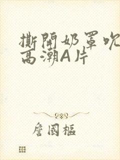 撕开奶罩吮奶头高潮A片