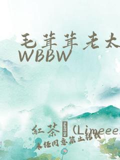 毛茸茸老太BBWBBW