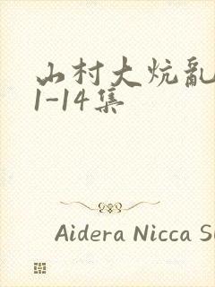 山村大炕乱肉续1-14集