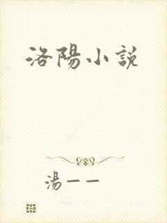 洛阳小说
