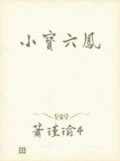 小宝六凤