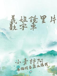 义姐镜里片微博数字车