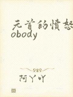 元首的愤怒之nobody