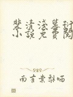 裴清浅慕衍之的小说免费阅读无弹窗