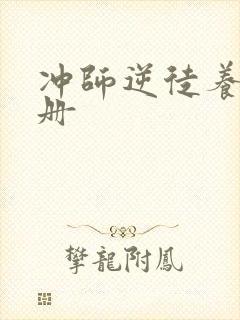 冲师逆徒养成手册