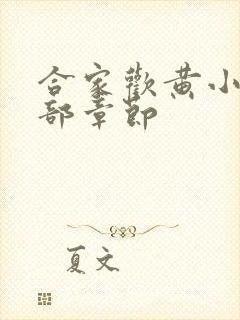 合家欢黄小梅全部章节