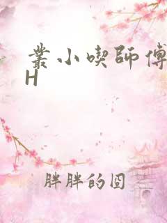 丛小吃师傅的HH