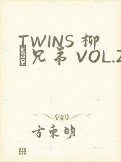 TWINS 柳澤兄弟 VOL.2