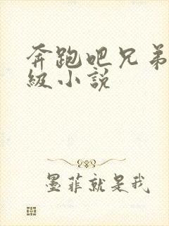 奔跑吧兄弟限制级小说