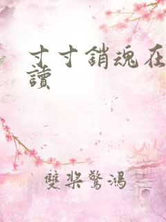 寸寸销魂在线阅读