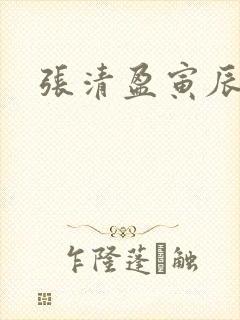 张清盈寅辰小说