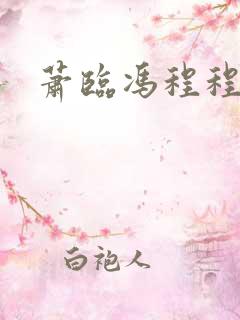 萧临冯程程小说