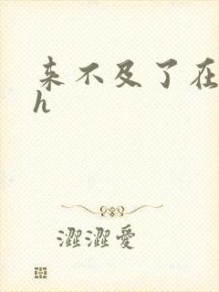 来不及了在车ch