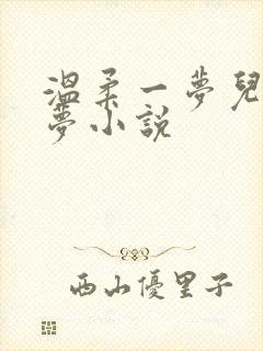 温柔一梦儿媳林梦小说